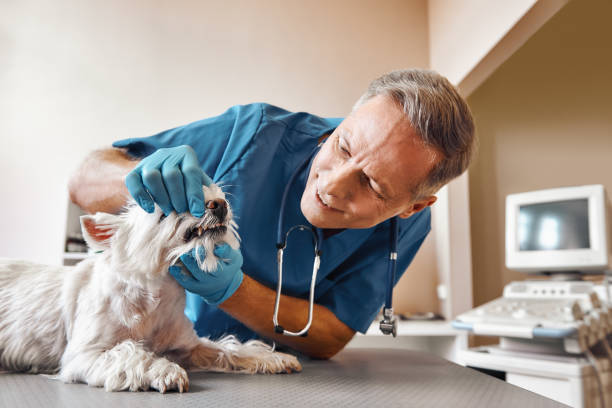 Best Root Canal Emergency Dentist  in Coson, OK